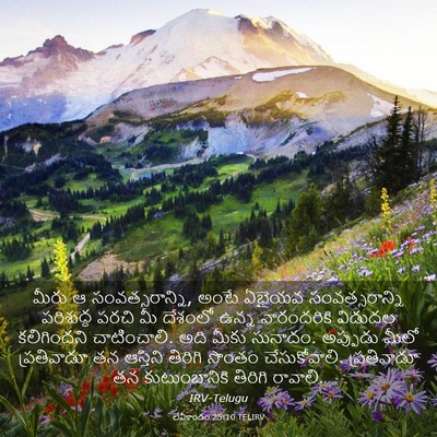 Picture 03 - లేవీకాండం 25:10 TELIRV - మీరు ఆ - Bible Verse Picture