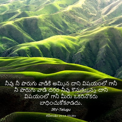 Picture 03 - లేవీకాండం 25:14 TELIRV - నీవు నీ పొరుగు - Bible Verse Picture