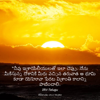 Picture 03 - లేవీకాండం 25:2 TELIRV - “నీవు - Bible Verse Picture