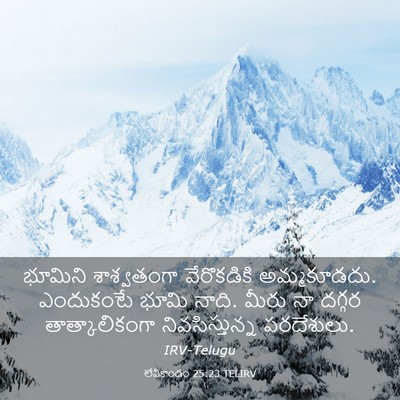 Picture 03 - లేవీకాండం 25:23 TELIRV - భూమిని శాశ్వతంగా - Bible Verse Picture