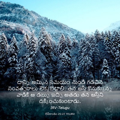 Picture 03 - లేవీకాండం 25:27 TELIRV - దాన్ని అమ్మిన - Bible Verse Picture