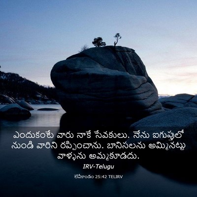 Picture 03 - లేవీకాండం 25:42 TELIRV - ఎందుకంటే వారు - Bible Verse Picture