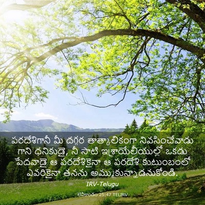 Picture 03 - లేవీకాండం 25:47 TELIRV - పరదేశిగానీ మీ - Bible Verse Picture