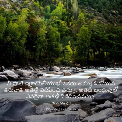 Picture 03 - లేవీకాండం 25:48 TELIRV - నీ సాటి - Bible Verse Picture