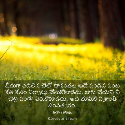 Picture 03 - లేవీకాండం 25:5 TELIRV - బీడుగా వదిలిన - Bible Verse Picture