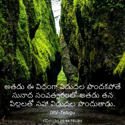 Picture 03 - లేవీకాండం 25:54 TELIRV - అతడు ఈ విధంగా - Bible Verse Picture