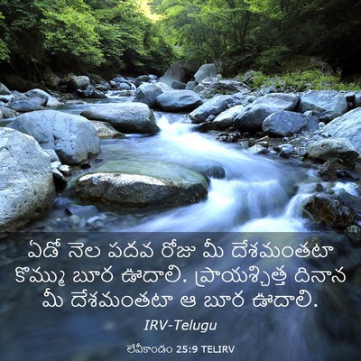 Picture 03 - లేవీకాండం 25:9 TELIRV - ఏడో నెల పదవ రోజు మీ - Bible Verse Picture