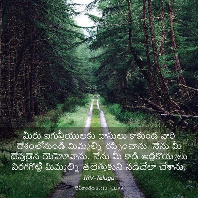 Picture 03 - లేవీకాండం 26:13 TELIRV - మీరు ఐగుప్తీయులకు - Bible Verse Picture