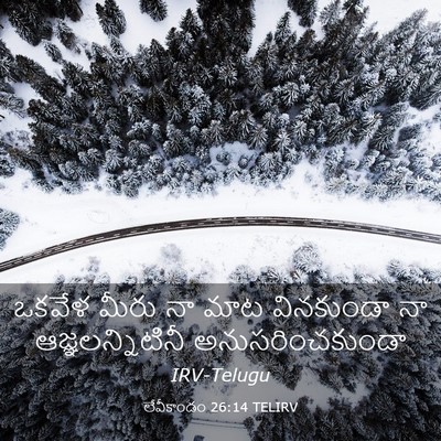 Picture 03 - లేవీకాండం 26:14 TELIRV - ఒకవేళ మీరు నా మాట - Bible Verse Picture