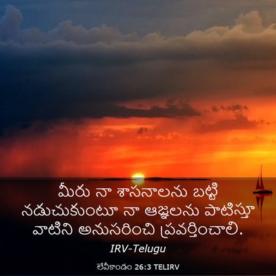 Picture 03 - లేవీకాండం 26:3 TELIRV - మీరు నా శాసనాలను - Bible Verse Picture