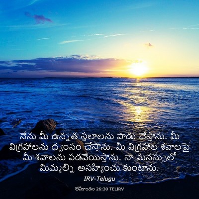 Picture 03 - లేవీకాండం 26:30 TELIRV - నేను మీ ఉన్నత - Bible Verse Picture
