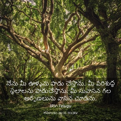 Picture 03 - లేవీకాండం 26:31 TELIRV - నేను మీ ఊళ్ళను - Bible Verse Picture