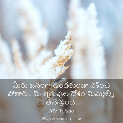 Picture 03 - లేవీకాండం 26:38 TELIRV - మీరు జనంగా - Bible Verse Picture