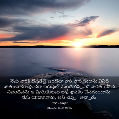 Picture 03 - లేవీకాండం 26:45 TELIRV - నేను వారికి - Bible Verse Picture