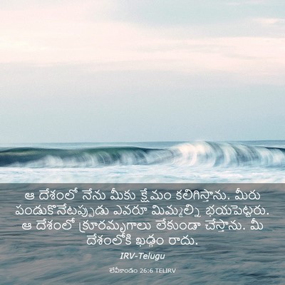 Picture 03 - లేవీకాండం 26:6 TELIRV - ఆ దేశంలో నేను మీకు - Bible Verse Picture