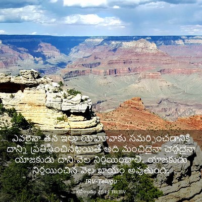Picture 03 - లేవీకాండం 27:14 TELIRV - ఎవరైనా తన ఇల్లు - Bible Verse Picture