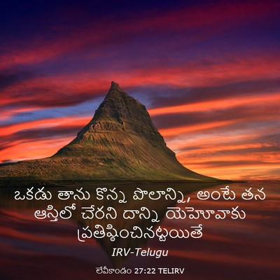 Picture 03 - లేవీకాండం 27:22 TELIRV - ఒకడు తాను కొన్న - Bible Verse Picture