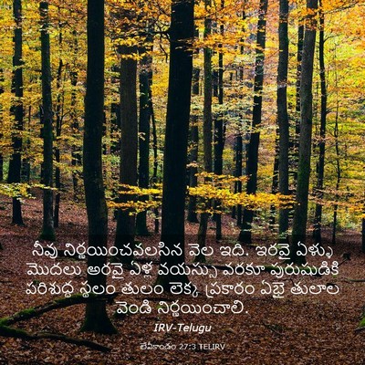 Picture 03 - లేవీకాండం 27:3 TELIRV - నీవు - Bible Verse Picture