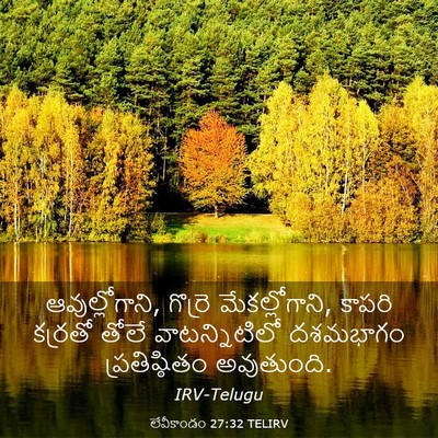 Picture 03 - లేవీకాండం 27:32 TELIRV - ఆవుల్లోగాని, - Bible Verse Picture