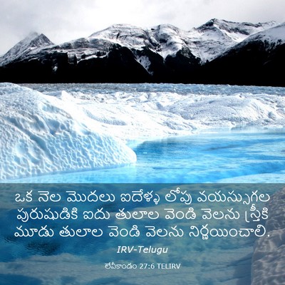 Picture 03 - లేవీకాండం 27:6 TELIRV - ఒక నెల మొదలు - Bible Verse Picture