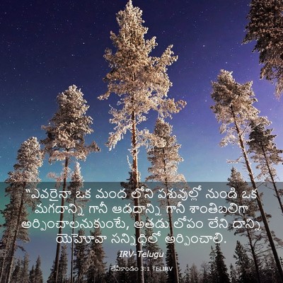 Picture 03 - లేవీకాండం 3:1 TELIRV - “ఎవరైనా ఒక మంద - Bible Verse Picture
