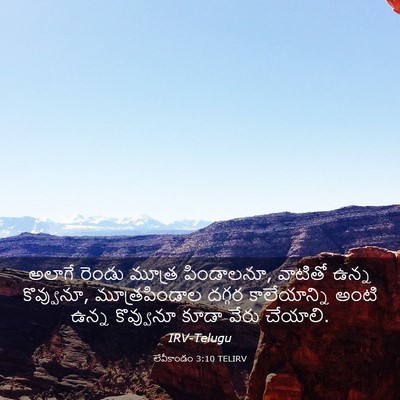 Picture 03 - లేవీకాండం 3:10 TELIRV - అలాగే రెండు మూత్ర - Bible Verse Picture
