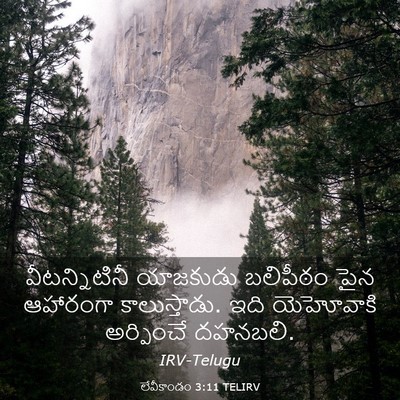 Picture 03 - లేవీకాండం 3:11 TELIRV - వీటన్నిటినీ - Bible Verse Picture