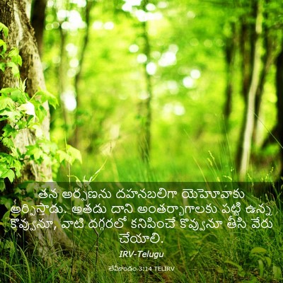 Picture 03 - లేవీకాండం 3:14 TELIRV - తన అర్పణను - Bible Verse Picture