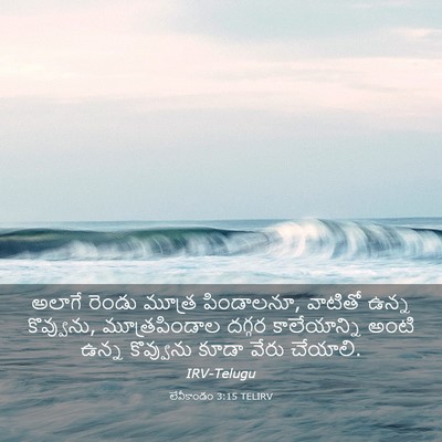 Picture 03 - లేవీకాండం 3:15 TELIRV - అలాగే రెండు మూత్ర - Bible Verse Picture