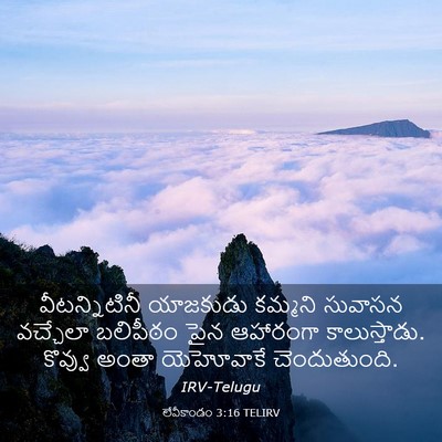 Picture 03 - లేవీకాండం 3:16 TELIRV - వీటన్నిటినీ - Bible Verse Picture