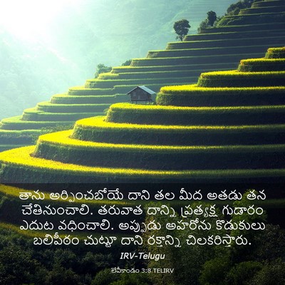 Picture 03 - లేవీకాండం 3:8 TELIRV - తాను అర్పించబోయే - Bible Verse Picture