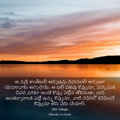 Picture 03 - లేవీకాండం 3:9 TELIRV - ఆ వ్యక్తి - Bible Verse Picture