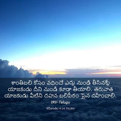 Picture 03 - లేవీకాండం 4:10 TELIRV - శాంతిబలి కోసం - Bible Verse Picture