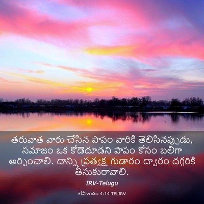 Picture 03 - లేవీకాండం 4:14 TELIRV - తరువాత వారు చేసిన - Bible Verse Picture