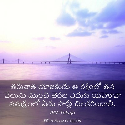 Picture 03 - లేవీకాండం 4:17 TELIRV - తరువాత యాజకుడు ఆ - Bible Verse Picture