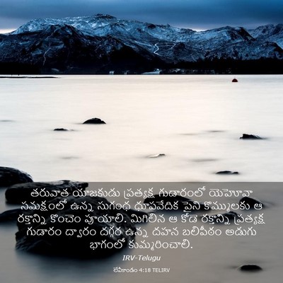 Picture 03 - లేవీకాండం 4:18 TELIRV - తరువాత యాజకుడు - Bible Verse Picture