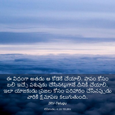 Picture 03 - లేవీకాండం 4:20 TELIRV - ఈ విధంగా అతడు ఆ - Bible Verse Picture