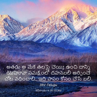 Picture 03 - లేవీకాండం 4:24 TELIRV - అతడు ఆ మేక తలపై - Bible Verse Picture