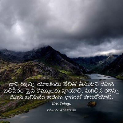 Picture 03 - లేవీకాండం 4:30 TELIRV - దాని రక్తాన్ని - Bible Verse Picture