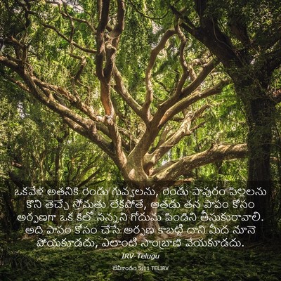 Picture 03 - లేవీకాండం 5:11 TELIRV - ఒకవేళ అతనికి - Bible Verse Picture