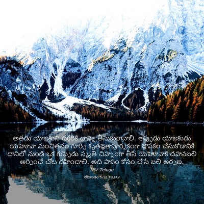 Picture 03 - లేవీకాండం 5:12 TELIRV - అతడు యాజకుని - Bible Verse Picture