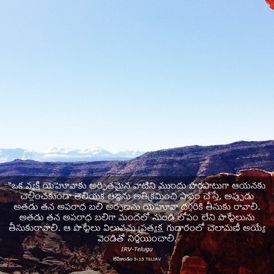Picture 03 - లేవీకాండం 5:15 TELIRV - “ఒక వ్యక్తి - Bible Verse Picture