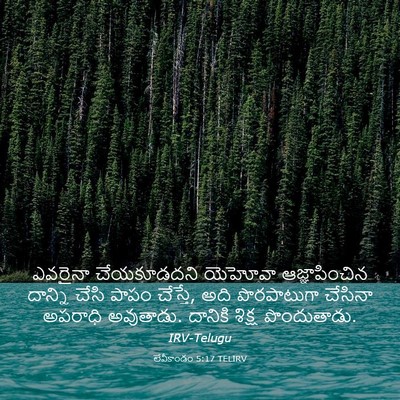 Picture 03 - లేవీకాండం 5:17 TELIRV - ఎవరైనా చేయకూడదని - Bible Verse Picture