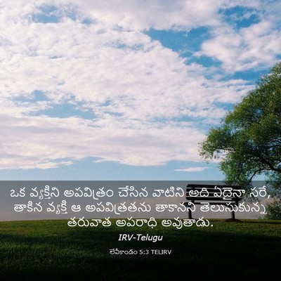Picture 03 - లేవీకాండం 5:3 TELIRV - ఒక వ్యక్తిని - Bible Verse Picture
