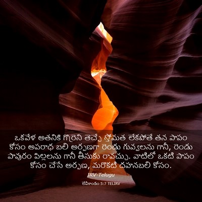 Picture 03 - లేవీకాండం 5:7 TELIRV - ఒకవేళ అతనికి - Bible Verse Picture