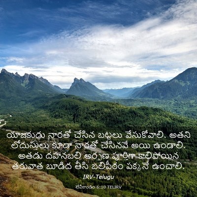 Picture 03 - లేవీకాండం 6:10 TELIRV - యాజకుడు నారతో - Bible Verse Picture