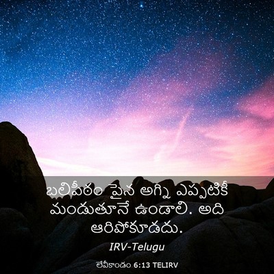 Picture 03 - లేవీకాండం 6:13 TELIRV - బలిపీఠం పైన అగ్ని - Bible Verse Picture