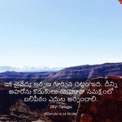 Picture 03 - లేవీకాండం 6:14 TELIRV - ఇక నైవేద్య అర్పణ - Bible Verse Picture