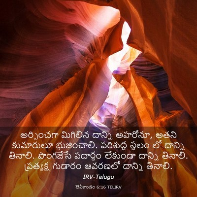 Picture 03 - లేవీకాండం 6:16 TELIRV - అర్పించగా మిగిలిన - Bible Verse Picture