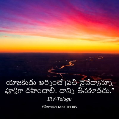 Picture 03 - లేవీకాండం 6:23 TELIRV - యాజకుడు అర్పించే - Bible Verse Picture